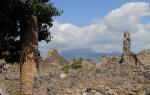 Scoprire Pompei attraverso le foto – Tour fotografico della Campania