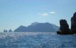 Verlockendes Blau: eine Bootsfahrt rund um die Insel Capri