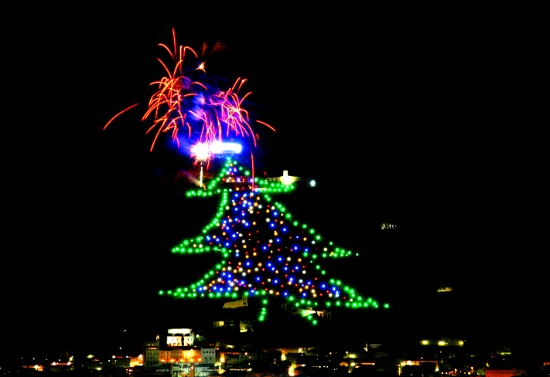 World’s biggest Christmas tree