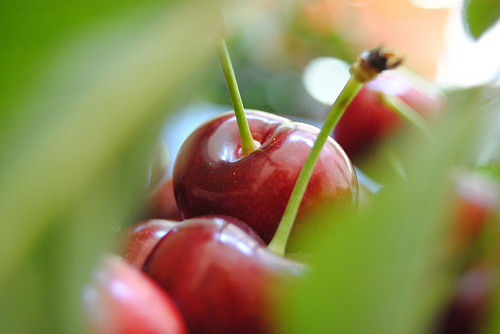 Railroad Cherries 