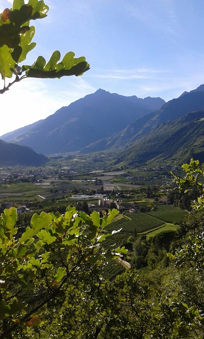 Wunderschönes Trentino-Südtirol... mit dem Fahrrad!