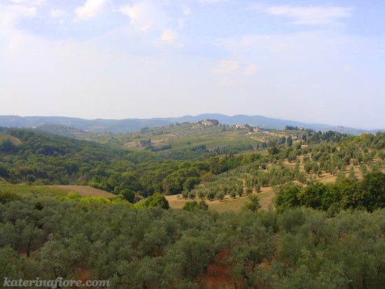 Tuscan Countryside - Impruneta