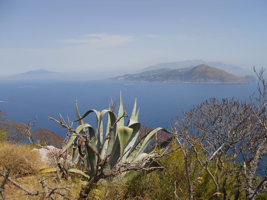 Capri - Blick auf den Golf von Neapel