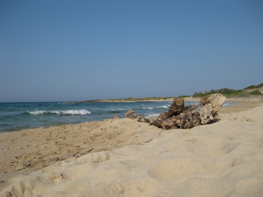 Meer, Sanddünen, Mittelmeer-Macchia