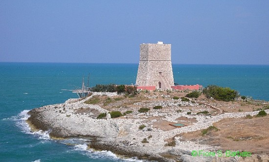 Coastal Watchtowers - Vieste, Apulia