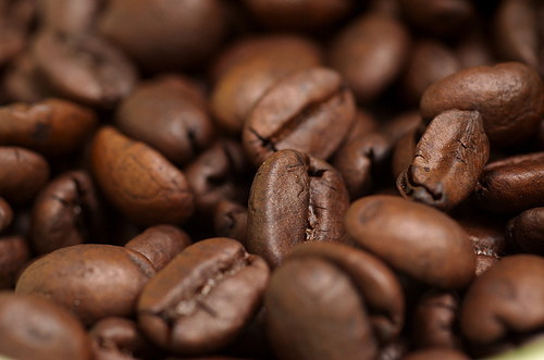 Italian Coffee: all about the coffee beans