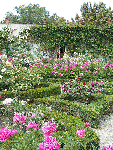 Top 5 der Rosengärten in Italien